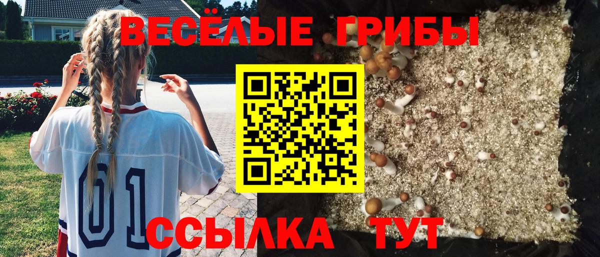 Орёл  даркнет сайт  Вход с VPN  Псилоцибиновые грибы прущие грибы 